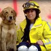 Video: Last Living 9/11 Rescue Dog Gets NYC Birthday Celebration